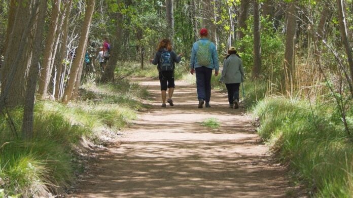 Por el parque natural del Río Dulce.