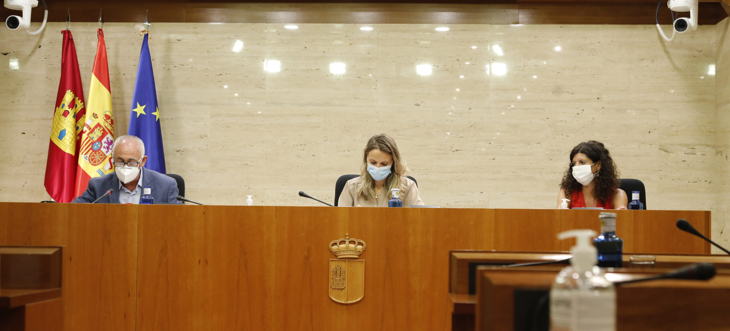 María Jesús Merino, alcalde de Sigüenza, es la presidenta de esta comisión de las Cortes de Castilla-La Mancha.