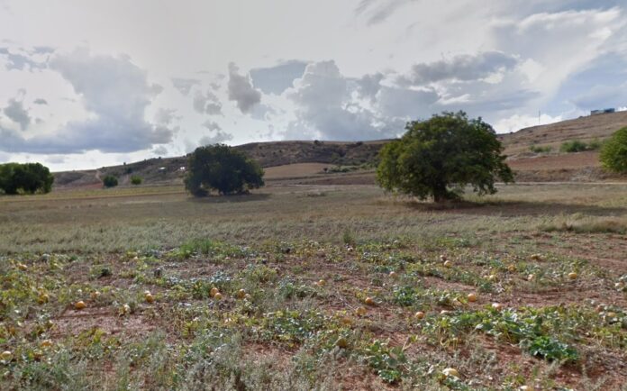 Alrededores de Cendejas del Padrastro, donde se mantienen las cepas de esta rara variedad.