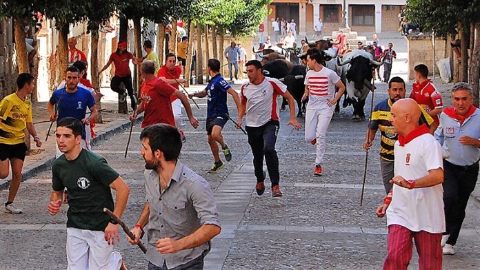 Encierro de Brihuega en 2017. (Foto: F. Toquero)