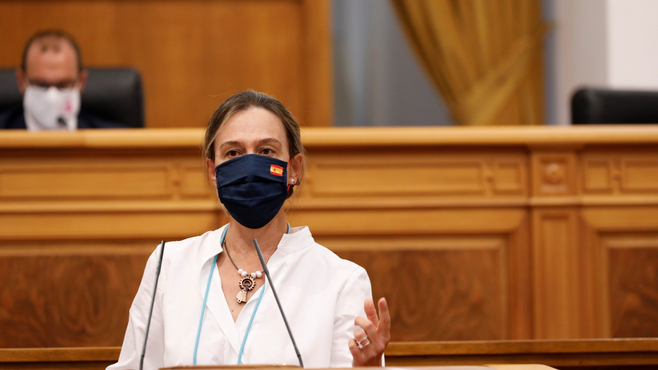 Ana Guarinos este jueves, durante el Pleno de las Cortes.