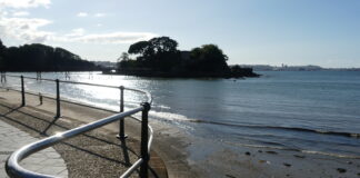 Con este procedimiento se detecta y limpia a la vez cualquier superficie, como una barandilla de uso público. (Foto: La Crónic@)