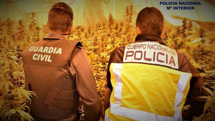 La operación ha sido posible con la colaboración de la Policía Nacional y la Guardia Civil.