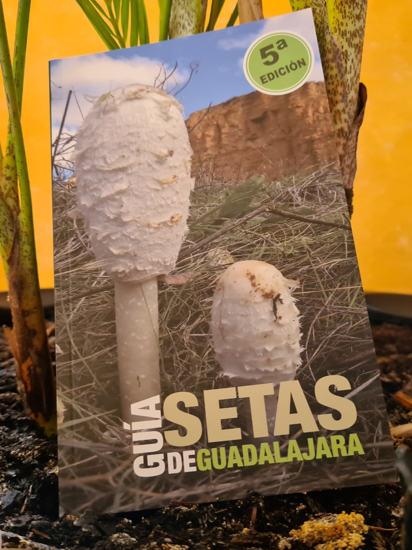 Portada de la quinta edición de la "Guía de las setas de Guadalajara".