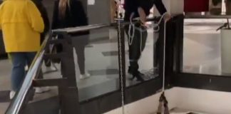 Izado de jamones, para robarlos, en el centro comercial de Eroski en Guadalajara.