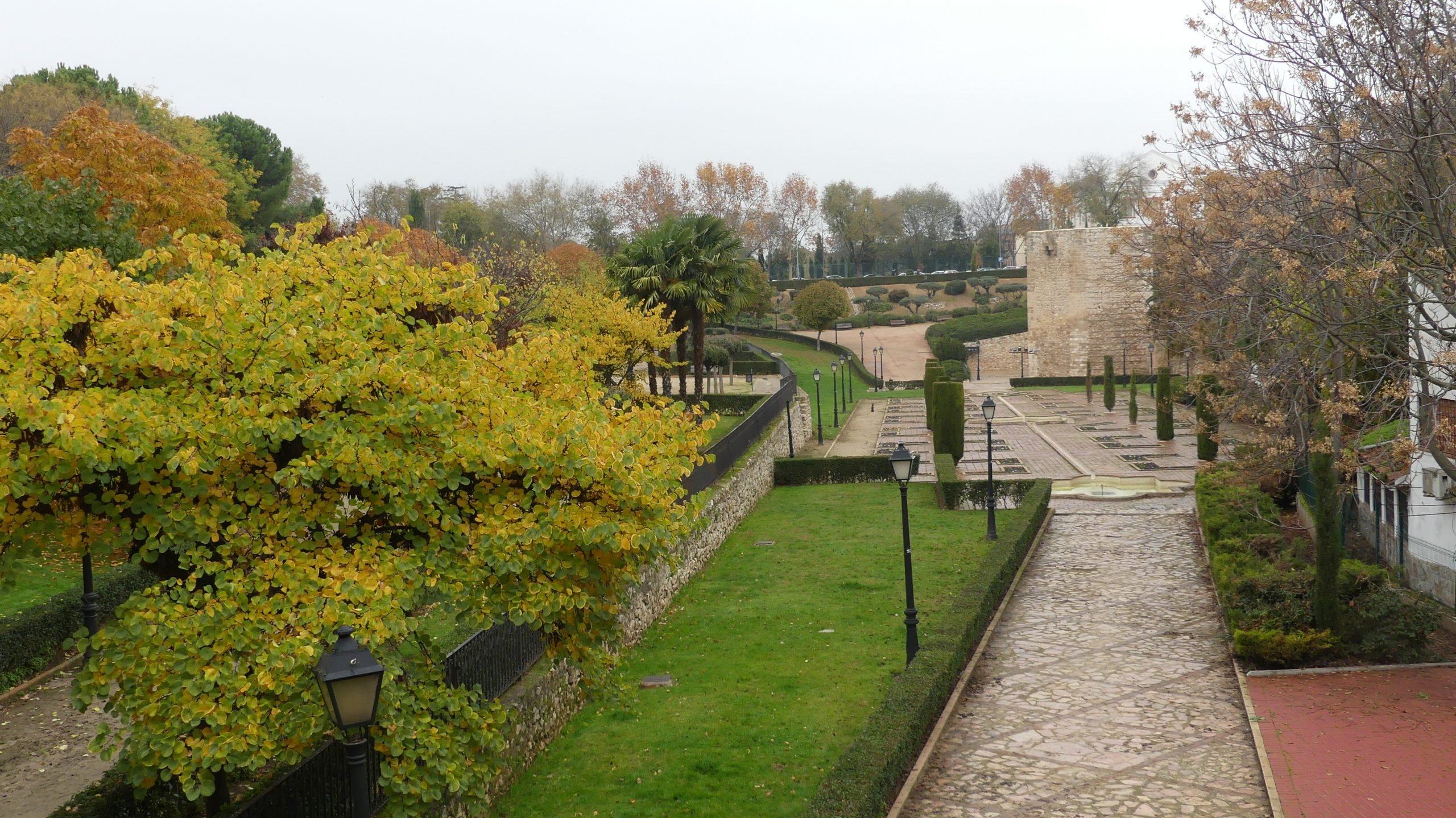 Otoño en Guadalajara. Parque de Alvarfáñez. Noviembre de 2020. (Foto: La Crónic@)