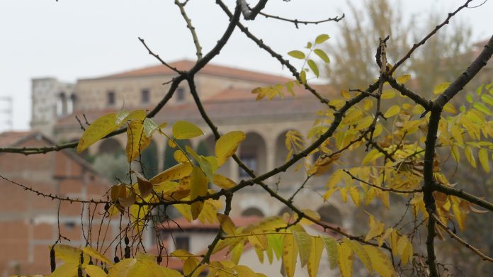 Otoño en Guadalajara. Palacio del Infantado. Noviembre de 2020. (Foto: La Crónic@) Otoño en Guadalajara. Noviembre de 2020. (Foto: La Crónic@)