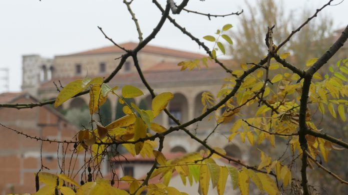 Otoño en Guadalajara. Noviembre de 2020. (Foto: La Crónic@)