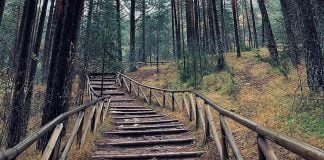 Acceso al Nacimiento del Río Cuervo en noviembre de 2020. (Foto: La Crónic@)