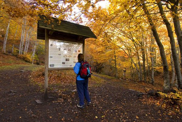 La Sierra Norte de Guadalajara tiene multitud de atractivos también en otoño.