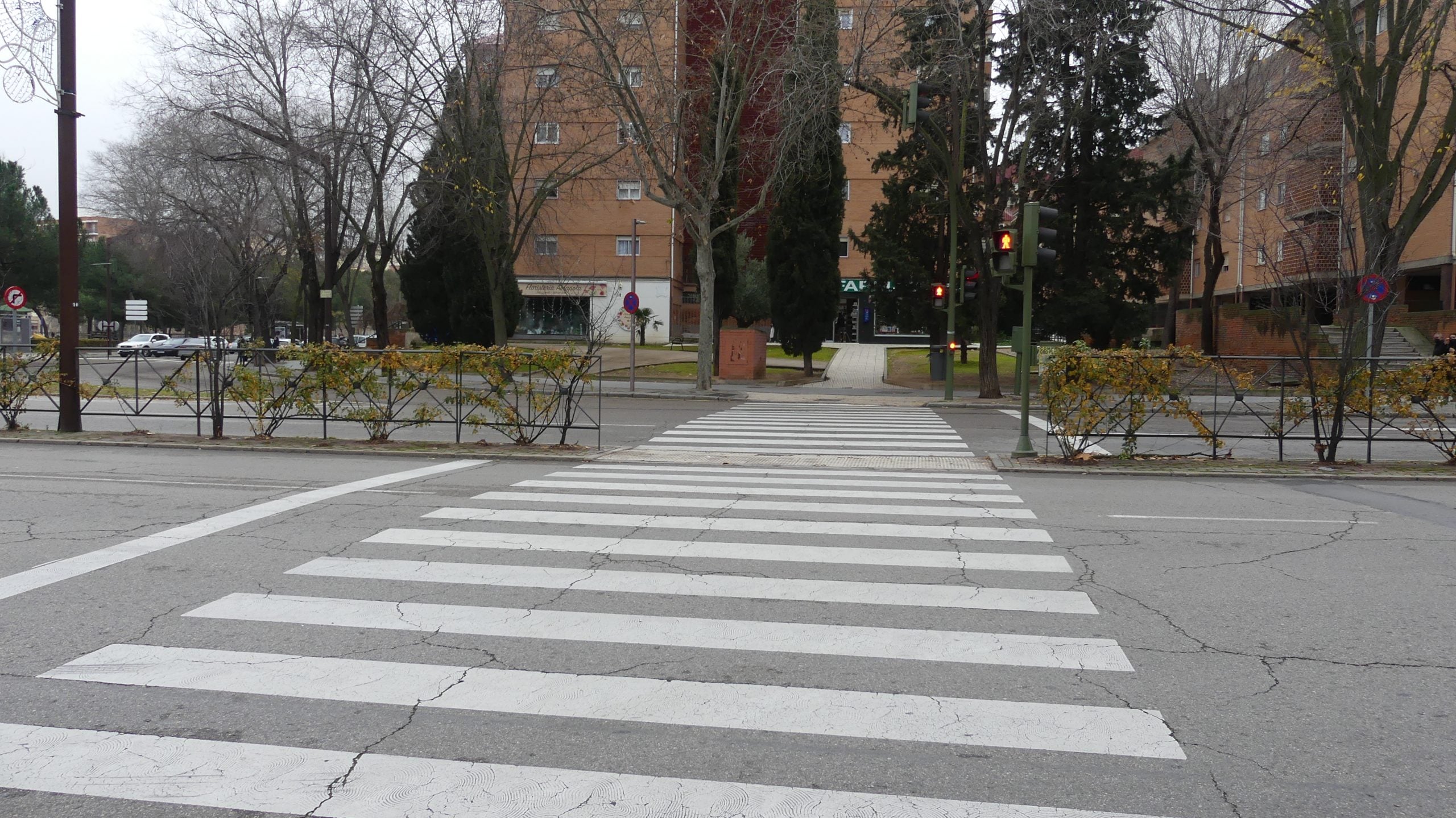Paso de peatones en Guadalajara. (Foto: La Crónic@)