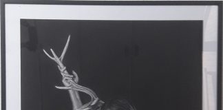 Enrique Alba Sánchez, es el autor de "Corazón que no siente", premio de dibujo "Antonio del Rincón" 2020.