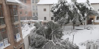 El destrozo de la nevada en la Plaza de San Esteban es espectacular.