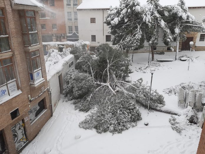 El destrozo de la nevada en la Plaza de San Esteban es espectacular.