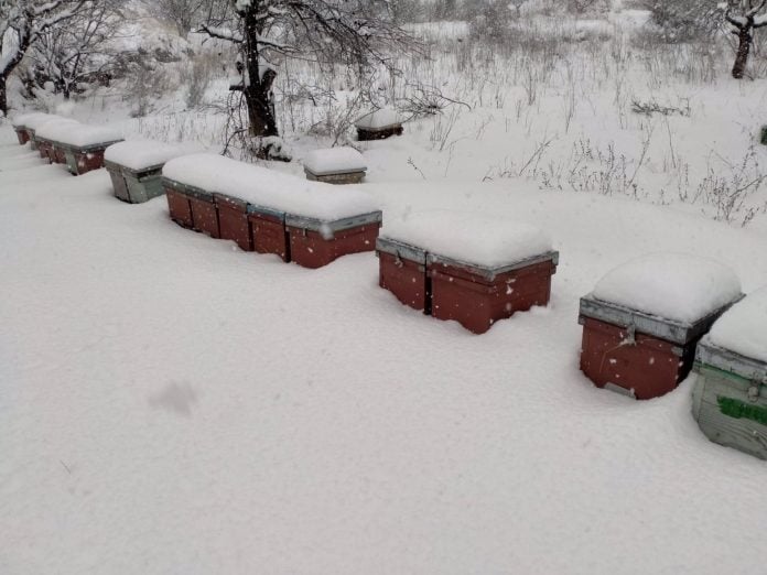 Colmenas bajo un grueso manto de nieve, en la provincia de Guadalajara.