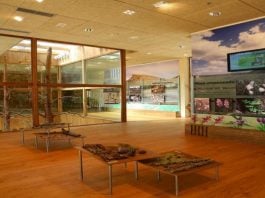 Interior del centro de interpretación de Corduente.