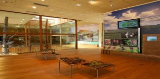 Interior del centro de interpretación de Corduente.