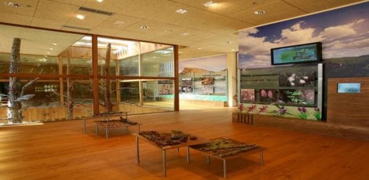 Interior del centro de interpretación de Corduente.