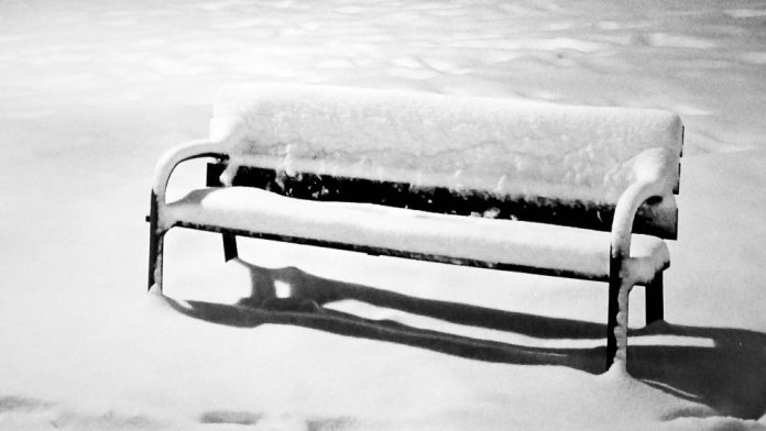 Banco en Las Lomas, bajo la nevada. (Foto: David Miyar)