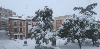Vuelve la luz a los hogares que no la tenían en Guadalajara La Plaza de Moreno, de Guadalajara, en el amanecer del 9 de enero de 2021 con la nevada. (Foto: J. García /La Crónic@)
