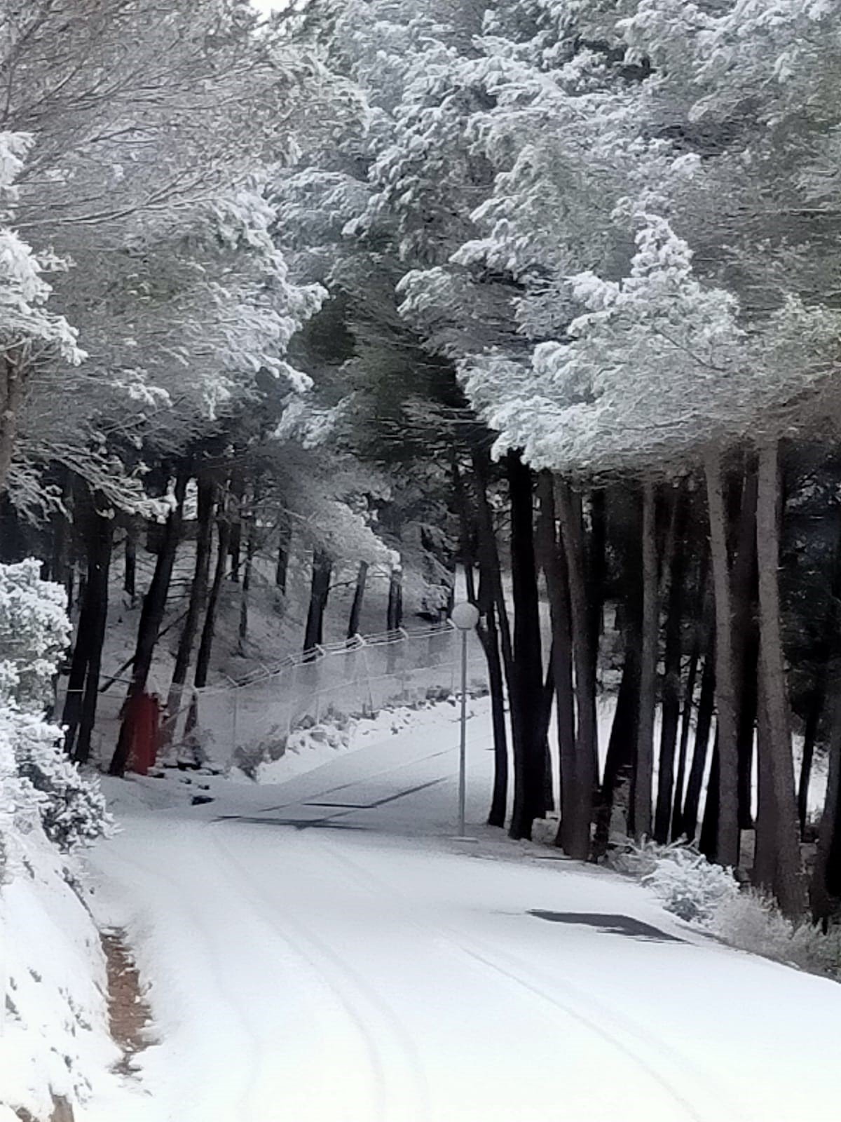 Renera, a las cuatro de la tarde del 7 de enero de 2021, bajo la nieve. (Foto: Maribel Martín Duró)