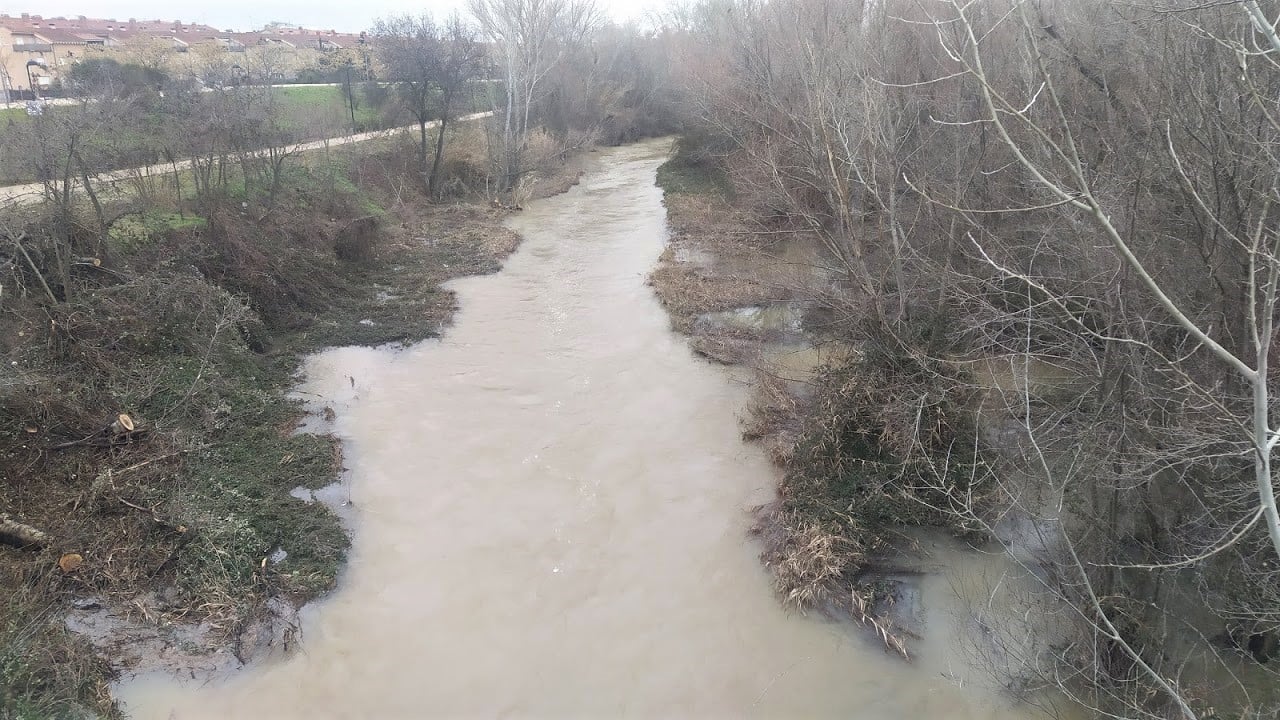 El río Henares a su paso por Guadalajara, en la mañana del sábado, 23 de enero de 2021. (Foto: La Crónic@)