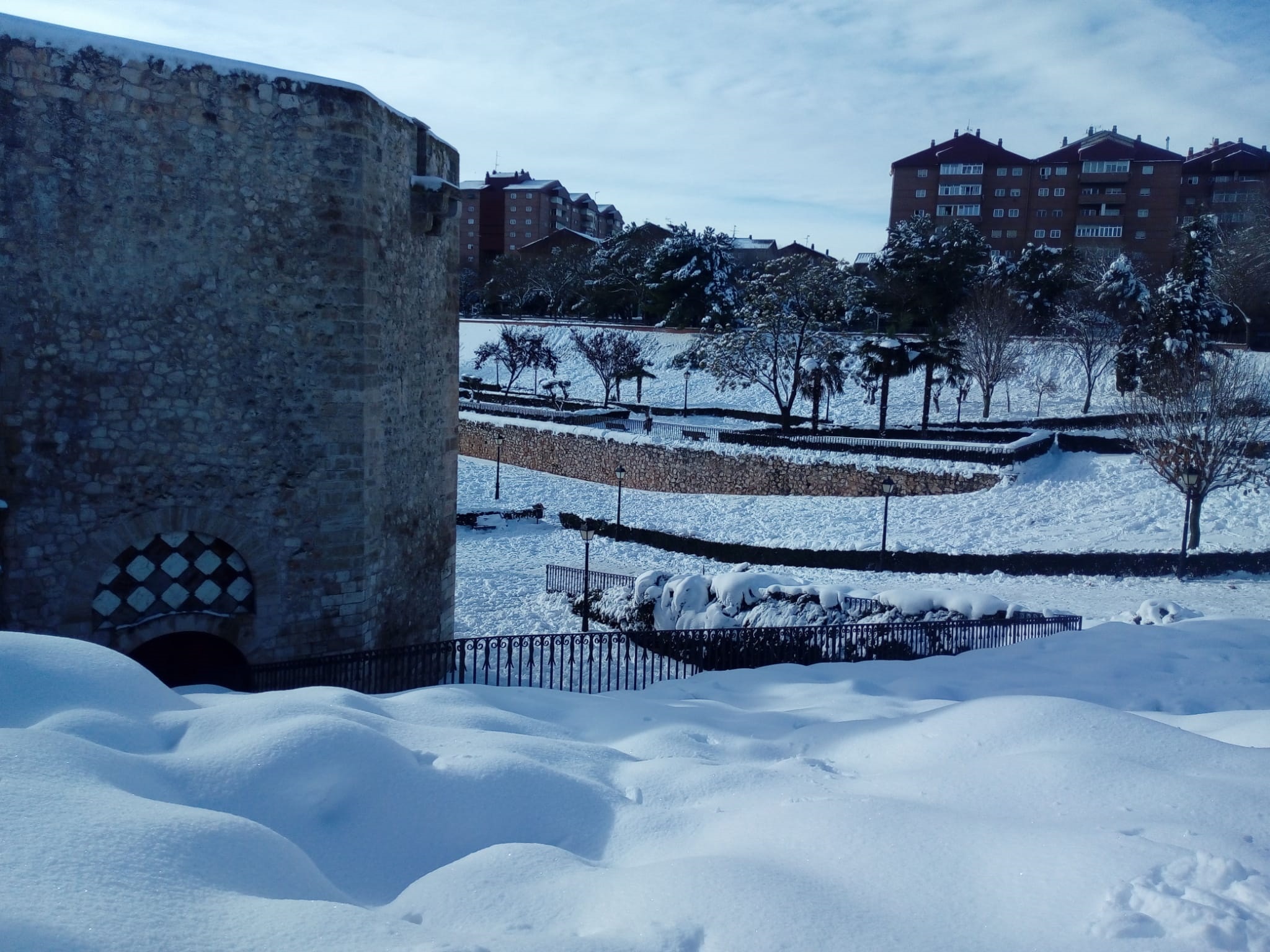 Espectacular la nieve caída en el parque del Torreón de Alvarfáñez. (Foto: Emma Jaraba)