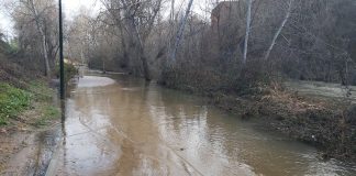 Un tramo del paseo del parque fluvial del Henares, anegado en febrero de 2021.
