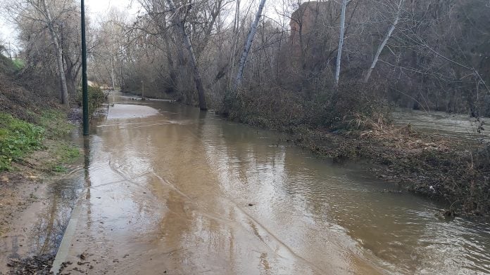 Un tramo del paseo del parque fluvial del Henares, anegado en febrero de 2021.