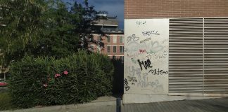 Las firmas son una plaga en cualquier barrio de Guadalajara. Estas "florecieron" en verano de 2020. (Foto: La Crónic@)