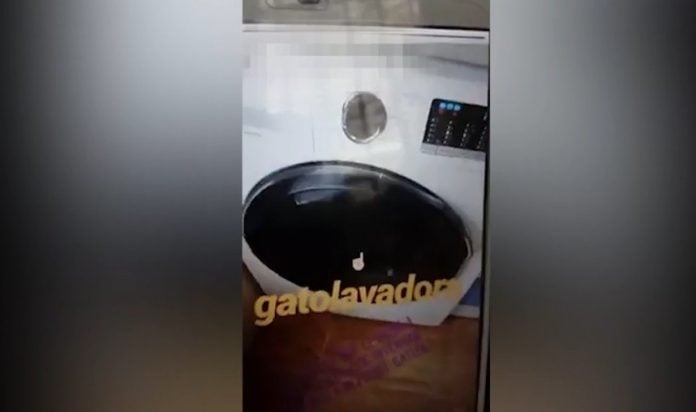 Una de las imágenes del terrible video que recoge la muerte de un gato en una lavadora.