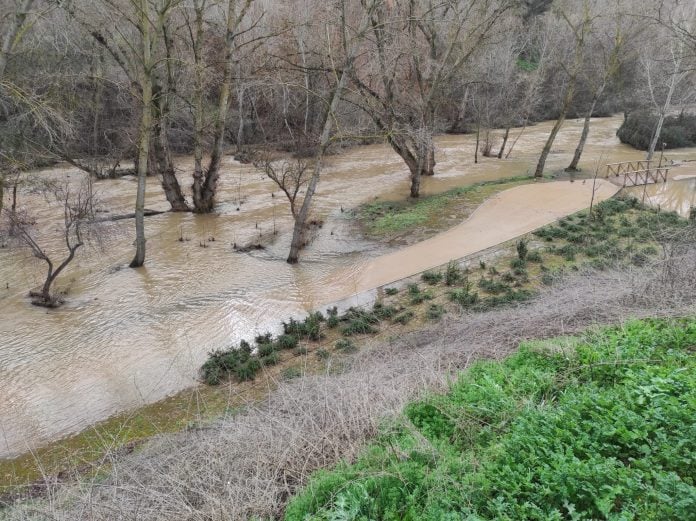 El agua ocupa buena parte del paseo junto al Henares en estos días. (Foto: Ecologistas en Acción)