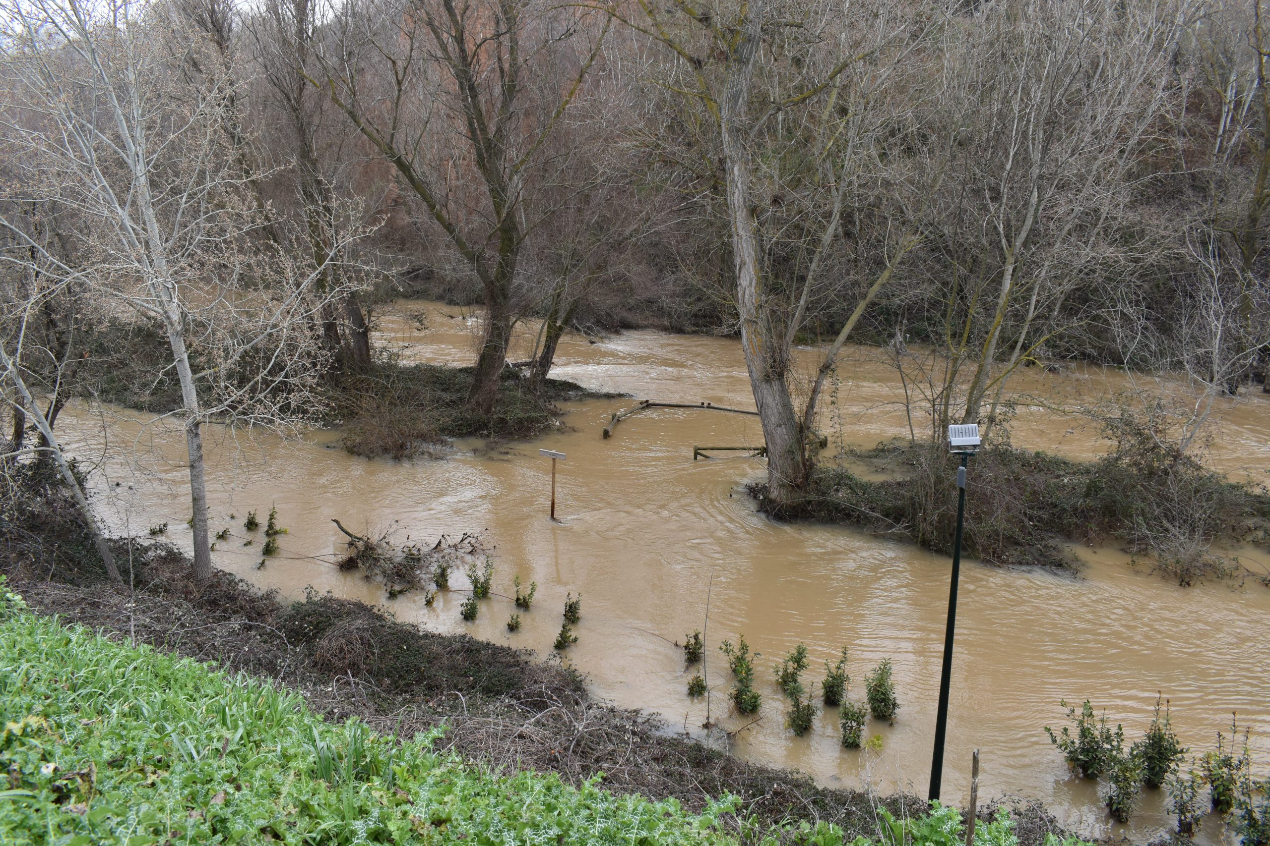 El paseo del parque fluvial del río Henares, completamente anegado el 11 de febrero de 2021.