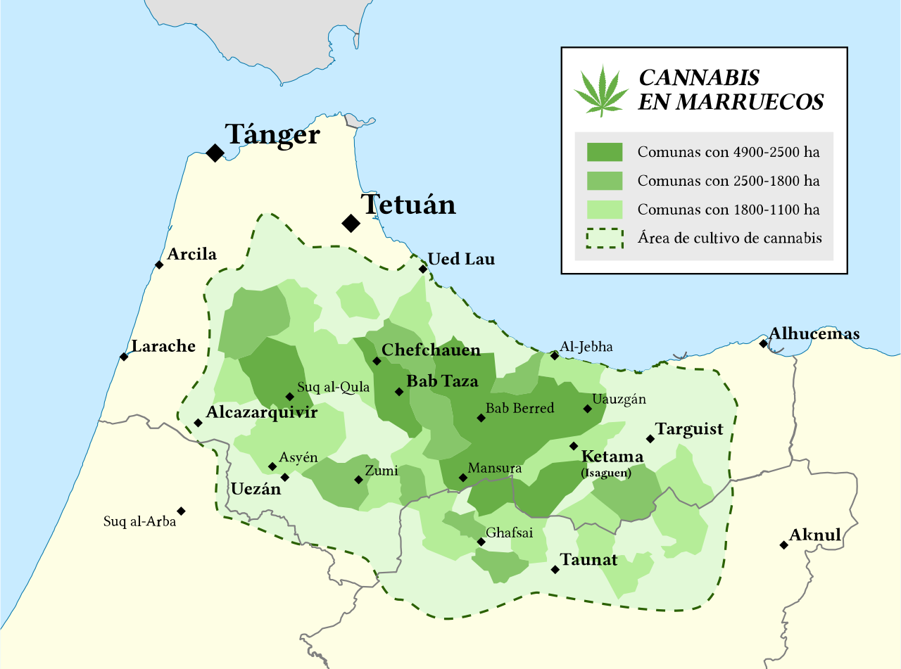Plantaciones de cannabis en el norte de Marruecos. (Gráfico: El Mono Español / Wikipedia)