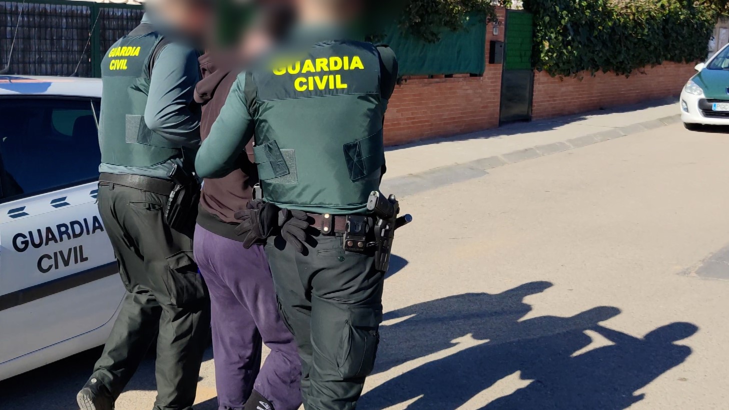 Siete han sido los detenidos en dos operaciones de la Guardia Civil contra el cultivo de marihuana en Guadalajara.