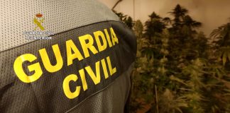 Agente en un operación contra el cultivo de marihuana en Guadalajara el 15 de marzo de 2021.