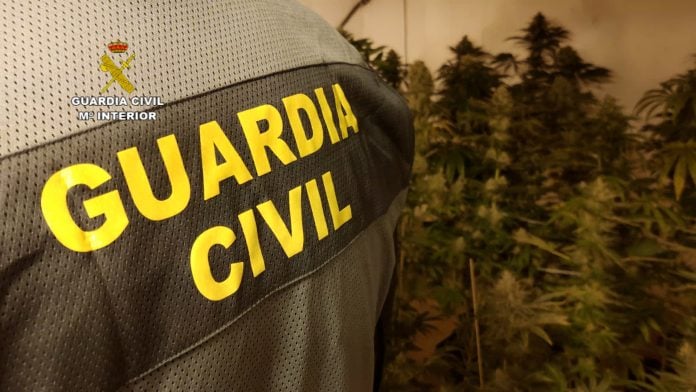 Agente en un operación contra el cultivo de marihuana en Guadalajara el 15 de marzo de 2021.