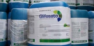 Bidones de glifosato.