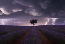 Tormenta sobre los campos de lavanda de Brihuega. Fotografía de Juan López Ruiz.