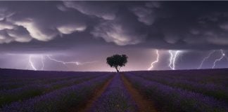 Tormenta sobre los campos de lavanda de Brihuega. Fotografía de Juan López Ruiz.