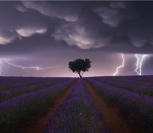 Tormenta sobre los campos de lavanda de Brihuega. Fotografía de Juan López Ruiz.