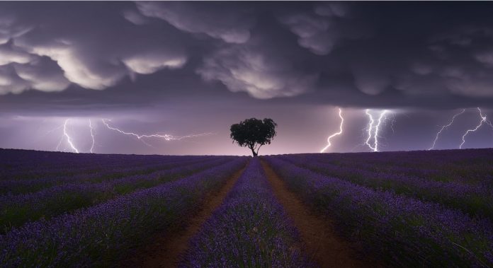 Tormenta sobre los campos de lavanda de Brihuega. Fotografía de Juan López Ruiz.