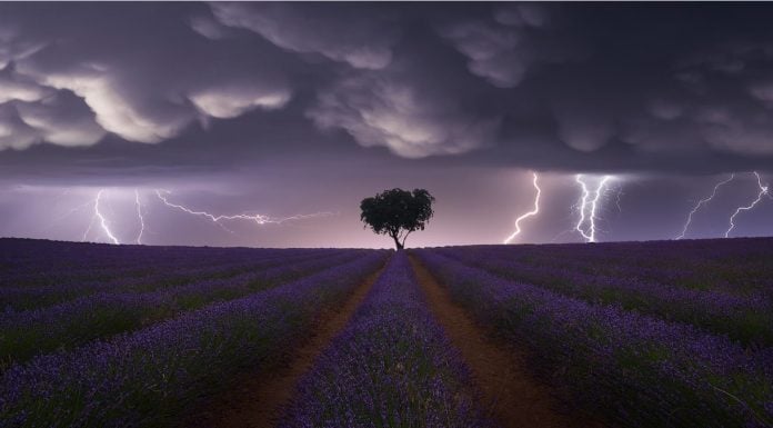 Tormenta sobre los campos de lavanda de Brihuega. Fotografía de Juan López Ruiz.
