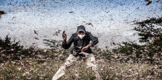 Fotografía de Luis Tato, candidata a mejor de 2020.