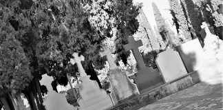 Sepulturas en el cementerio de Guadalajara, el 4 de abril de 2021. (Foto: La Crónic@)