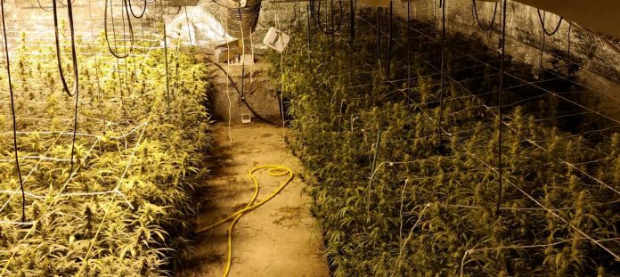 Interior del chalet de Fuentenovilla donde ha sido descubierta una plantación de marihuana en abril de 2021. (Foto: Guardia Civil)