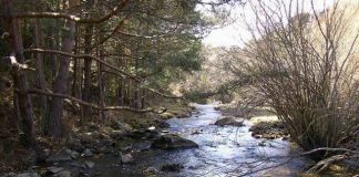 El caudal del río Sorbe puede ser insuficiente para atender los desarrollos futuros que cabrían en el Corredor del Henares.