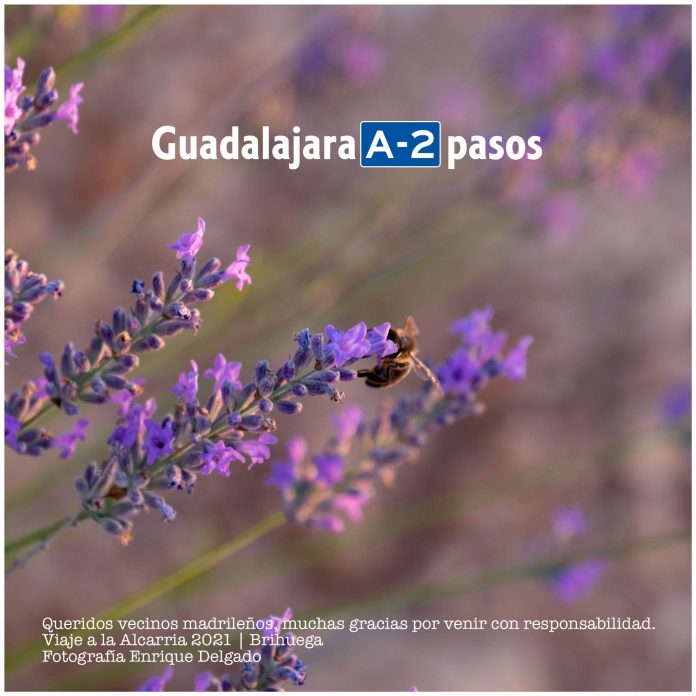 Guadalajara, A-2 pasos de Madrid y más ahora ahora, tras el fin del cierre perimetral.