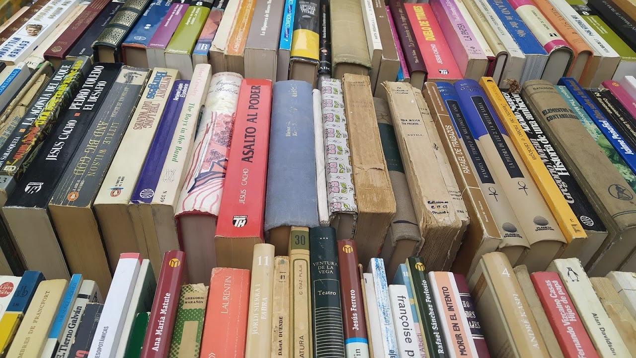 Libros en la Cuesta de Moyanao. Mayo de 2021. (Foto: La Crónic@)