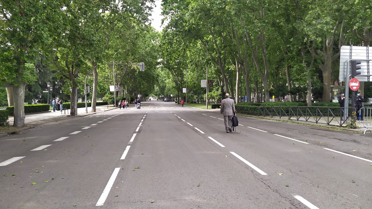 Paseo del Prado, con la calzada ocupada por los aún escasos peatones, el 9 de mayo de 2021. (Foto: La Crónic@)